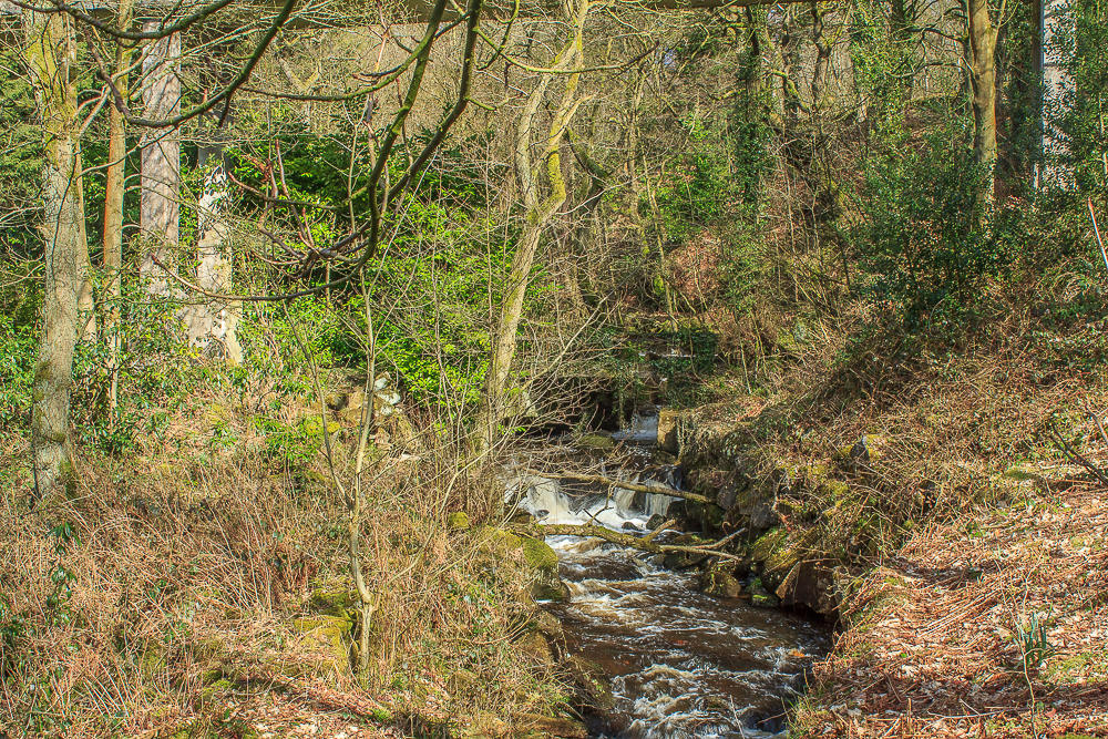 Bar Brook Bar Brook